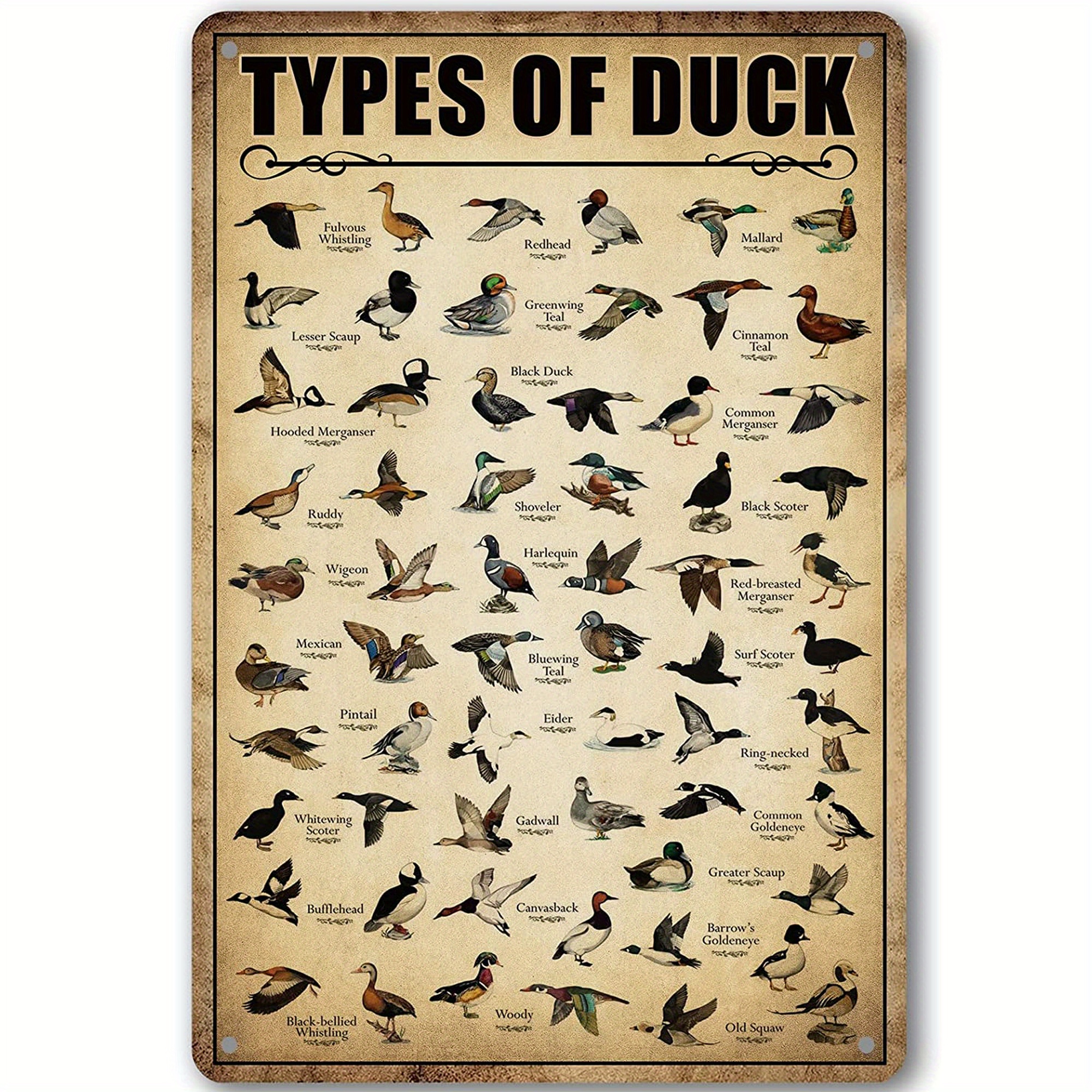 Vintage Duck Hunting Metal Sign Knowledge Mallard Ducks - Temu Canada