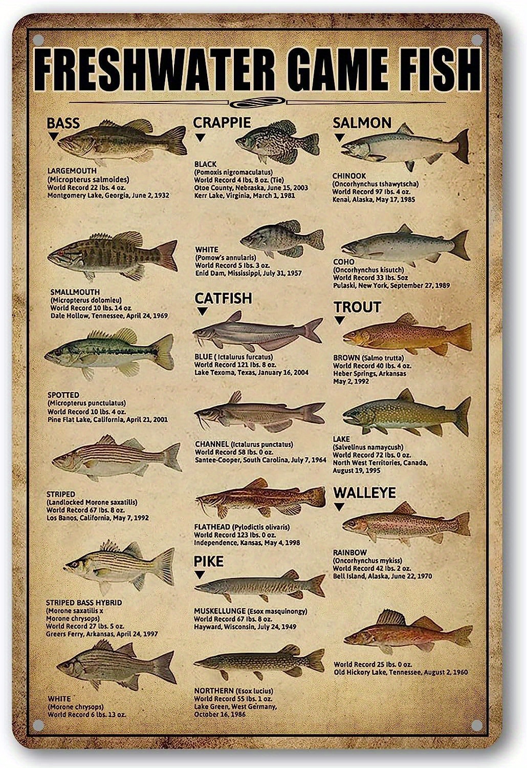 1pc, Freshwater Game Fish Tin Sign Vintage Fishing Wall Decor For Home Fish  Knowledge Metal Signs Rustic Cabin Hunting Decor For Boys Room Bedroom Bat