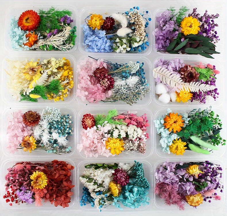 Dried Flowers DIY UV Mold Resin Fillers Expoxy Flower For Nail Art Pressed  Flowers For Crafts