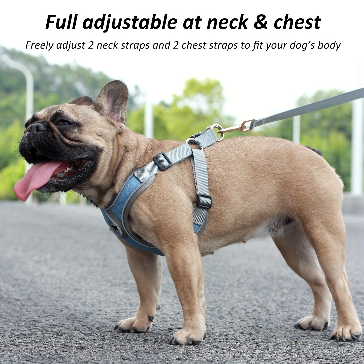 

Reflective Dog Harness And Leash Set - Easy Control And Adjustable For Small To Medium Dogs - Enhance Safety And Comfort