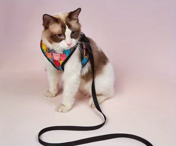 Daisy Patten Small Animal Caie & Bonding Pouch – Lage