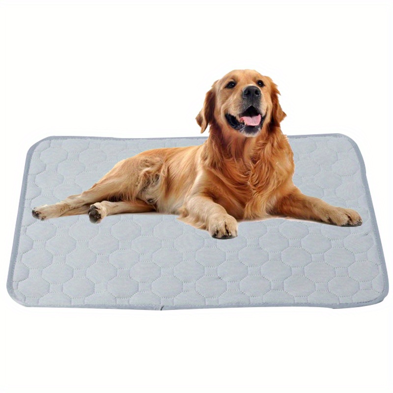 Buy The Proper Pet Washable Pee Pads for Dogs, Reusable Puppy Pads - Easy  to Clean, Waterproof Dog Mat, Puppy Mat - Reusable Dog Pee Pads - Washable  Potty Pads for Dogs 