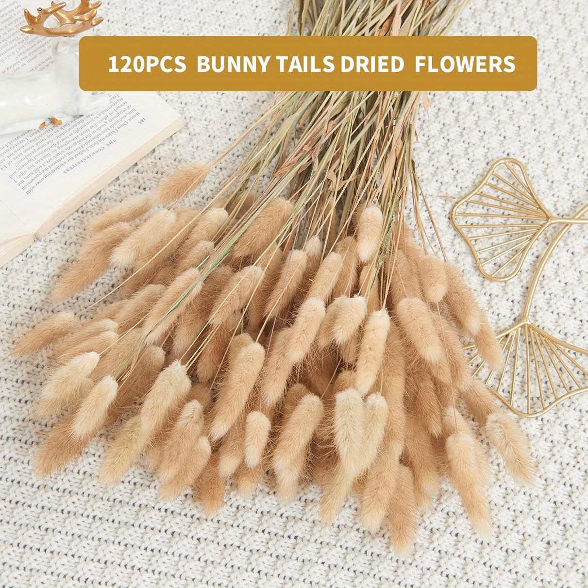 30/50/100pcs, Dried Bunny Tails Grass, Dried Plants Decor, Dried Pampas  Grass Bouquet ,Boho Home Decor Bouquet, Home Decor Indoor Plants, Dried  Plants