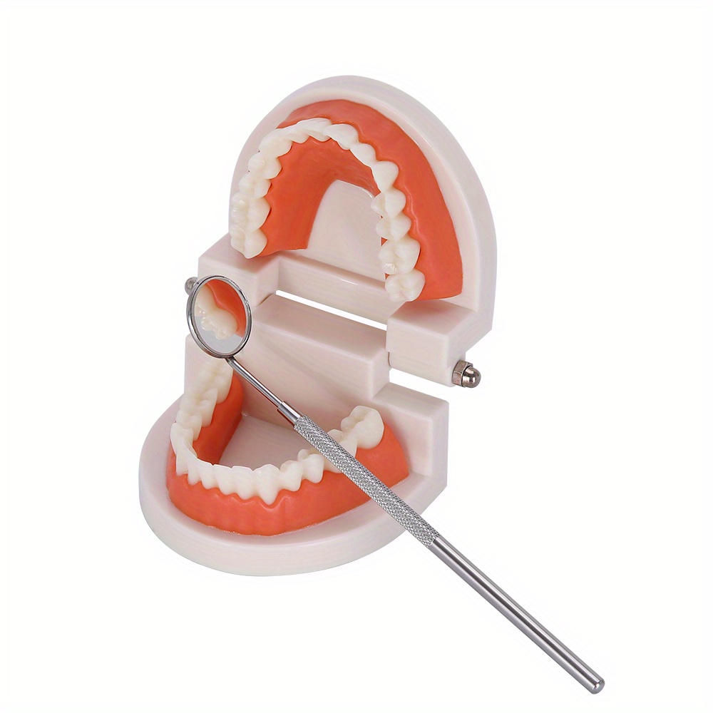 CNSEATO – poignée de miroir dentaire en acier inoxydable, taille 5 4, pour  l'inspection de la cavité buccale, Instruments chirurgicaux, Kit d'outils  de dentiste - AliExpress