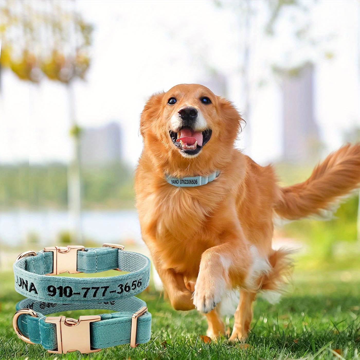 Personalized Dog Collar With Buckle, Pet Dog Collars, Embroidered Name And  Phone Number,4 Color - Temu