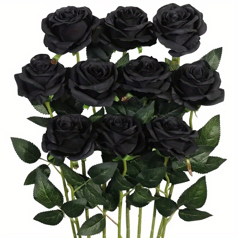 16 ideas de Rosas negras  rosas negras, rosas, rosa negra