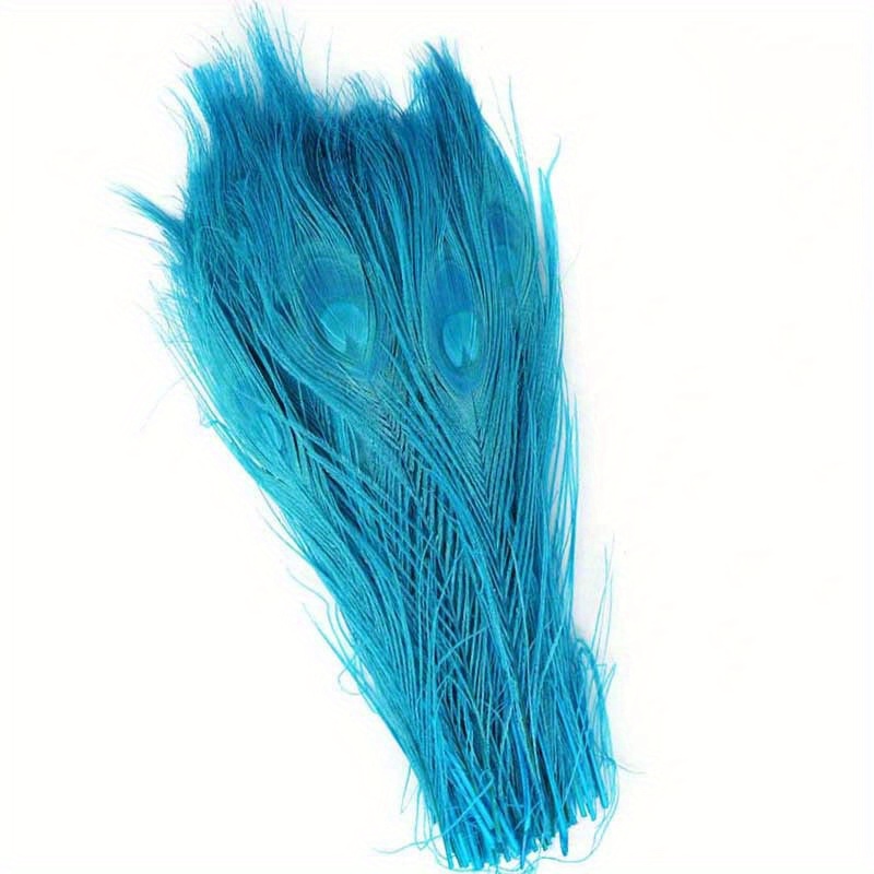 Blue Feathers - Temu