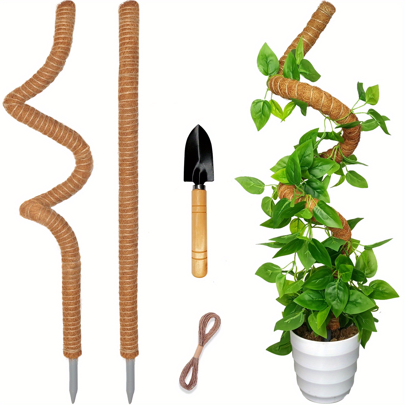 2 pièces Tuteurs pour Plantes grimpantes de 30CM, Tiges de Fibre Coco  Mousse pour Plante Monstera Supports Naturel pour Plantes
