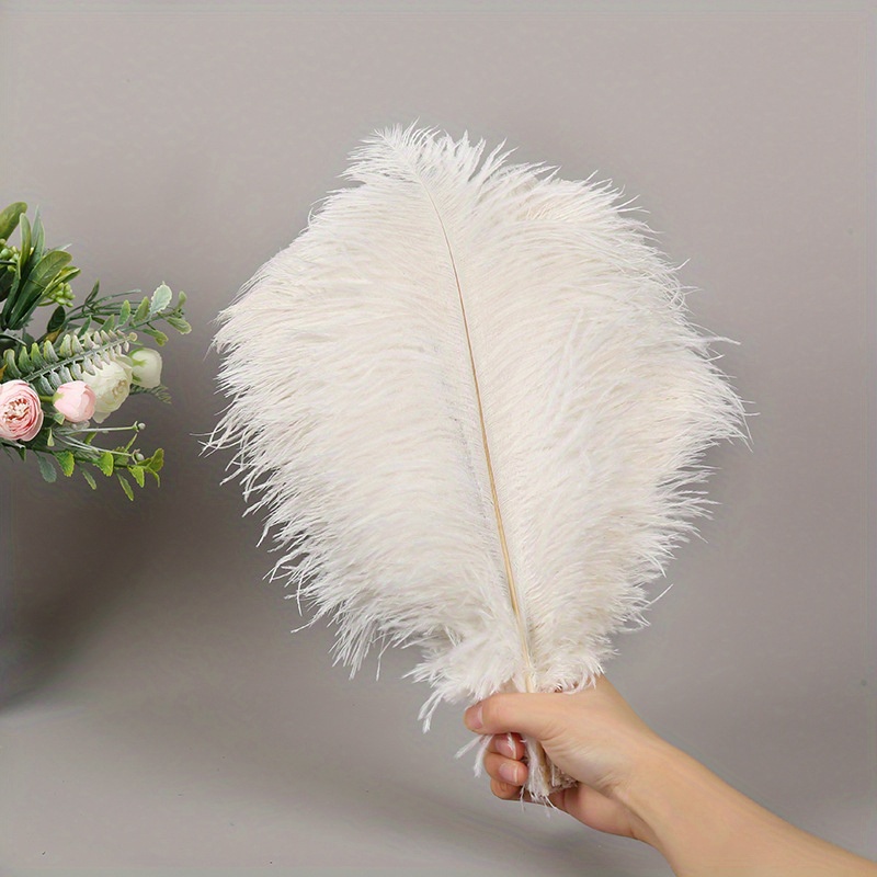 Natural Ostrich Feathers Plumas Wedding Party White - Temu