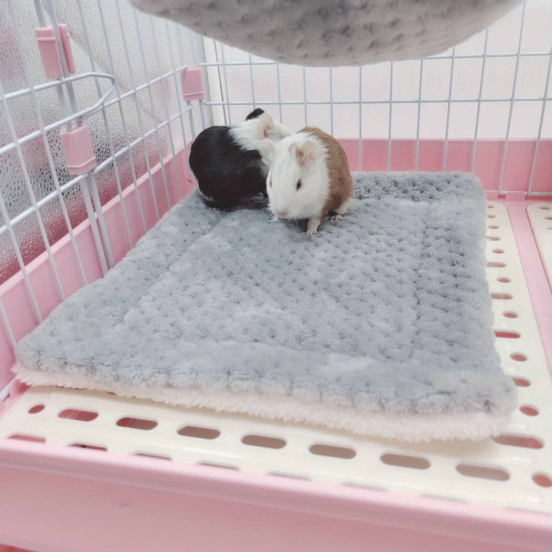 Guinea pig hotsell cage stuff