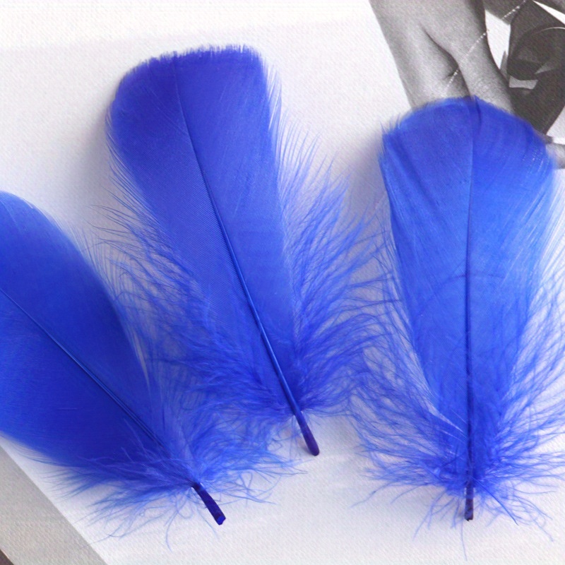 Royal Blue Feathers 