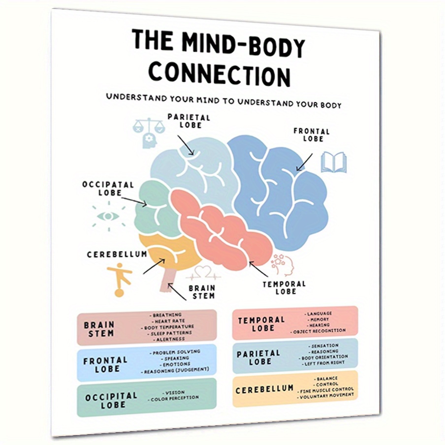 Office Wall Decor Mind Body Connection Poster Brain Anatomy - Temu Australia