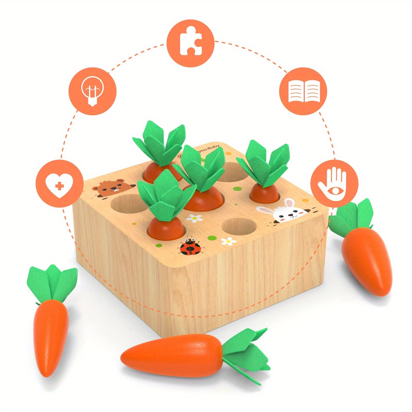 BESTAMTOY Juguete Montessori de madera para más de 1 año, clasificador de  formas, caja de permanencia de objetos, cosecha de zanahoria de moneda