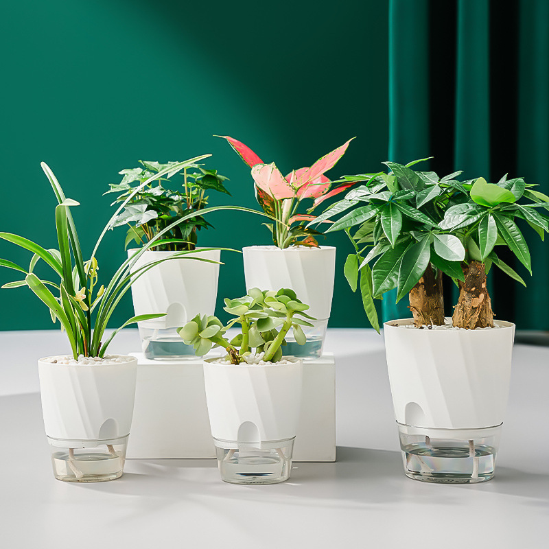 1pc Pots de plantes absorbant l'eau en plastique Pot de - Temu Belgium