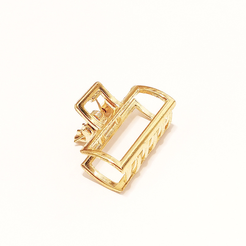 's Hair Accessory Is A Small Clip, A Hairpin, A Hair Claw, And A Hair Grabber.