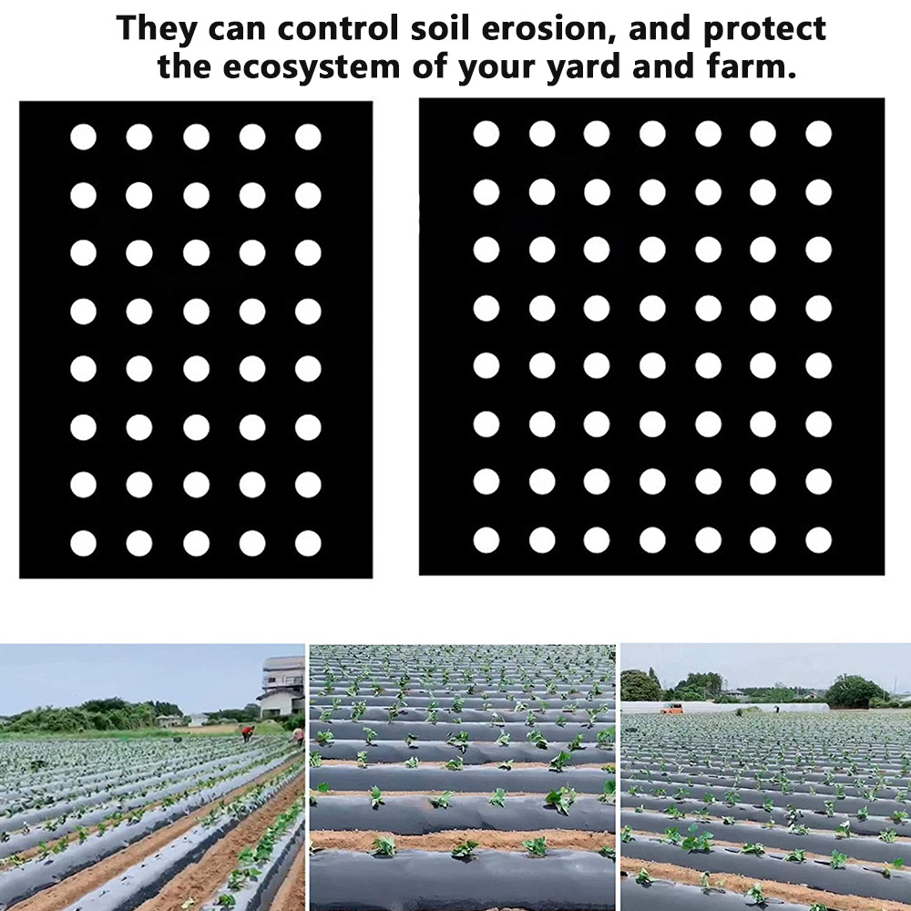 1pc Thicker Black Plastic Film With Planting Holes Garden Control