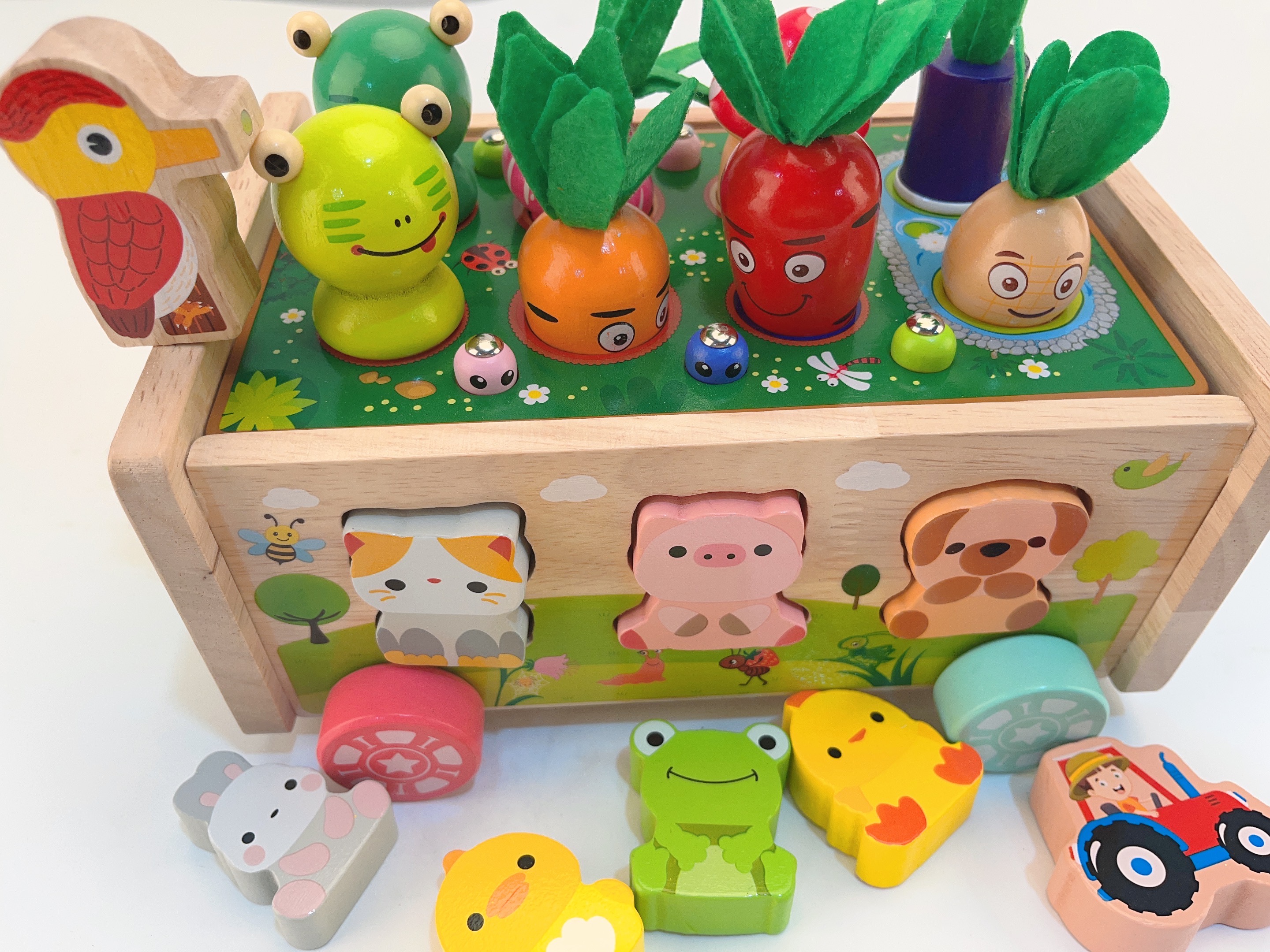 Joyreal Giochi Montessori per Bambini, Giochi Legno Bambini Educativi  Giocattoli, Distinguere Colore e Forma, Regalo per 1 2 3 Anni - Giochi e  Prodotti per l'Età Evolutiva