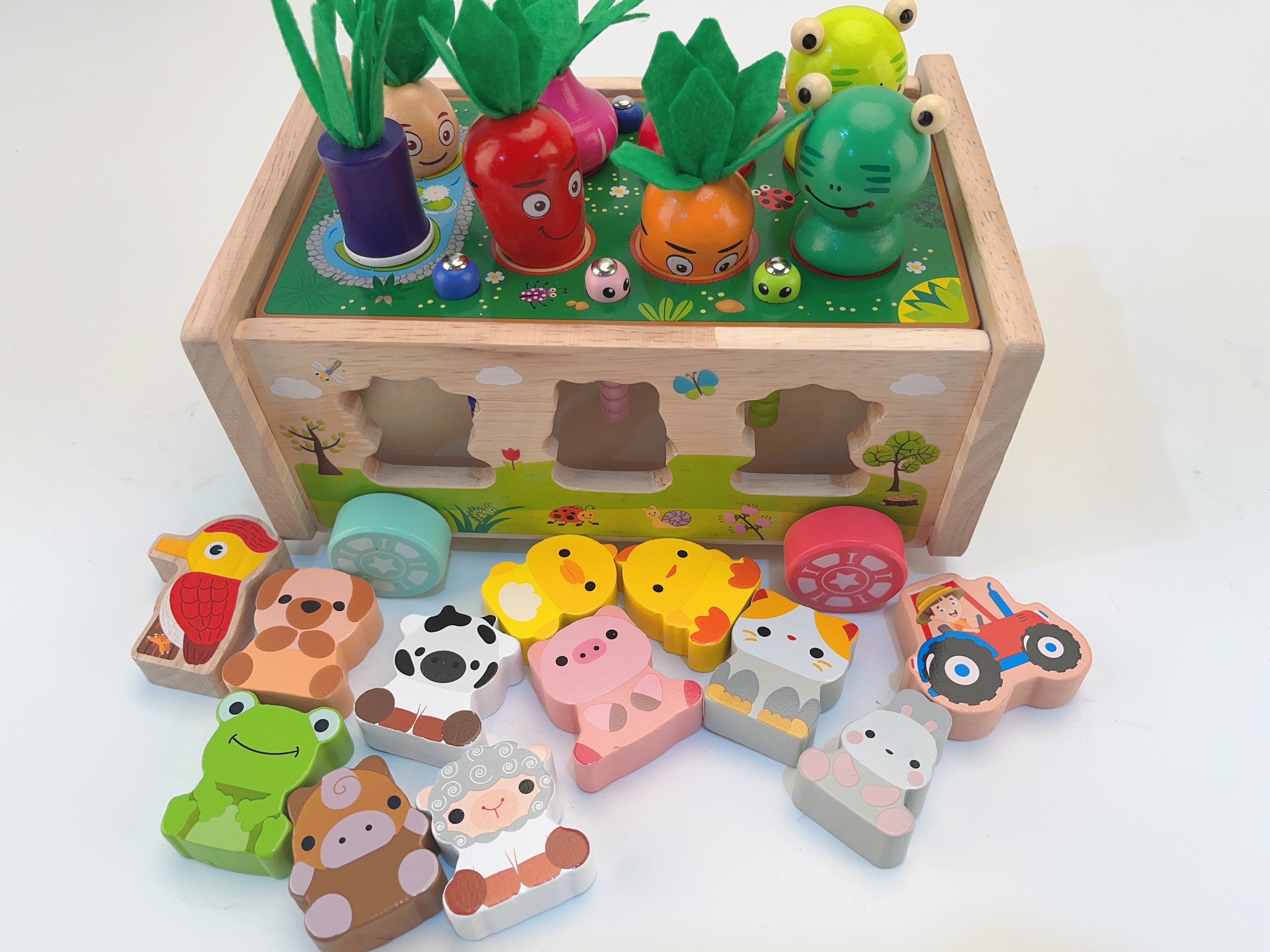 Joyreal Giochi Montessori per Bambini, Giochi Legno Bambini Educativi  Giocattoli, Distinguere Colore e Forma, Regalo per 1 2 3 Anni - Giochi e  Prodotti per l'Età Evolutiva