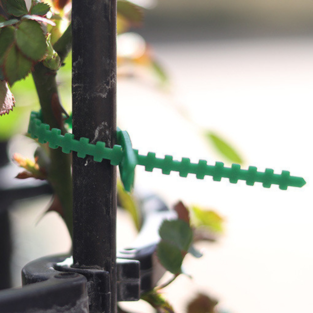 Reusable Plastic Plant Support Clips Clamps Plants Hanging Temu Australia