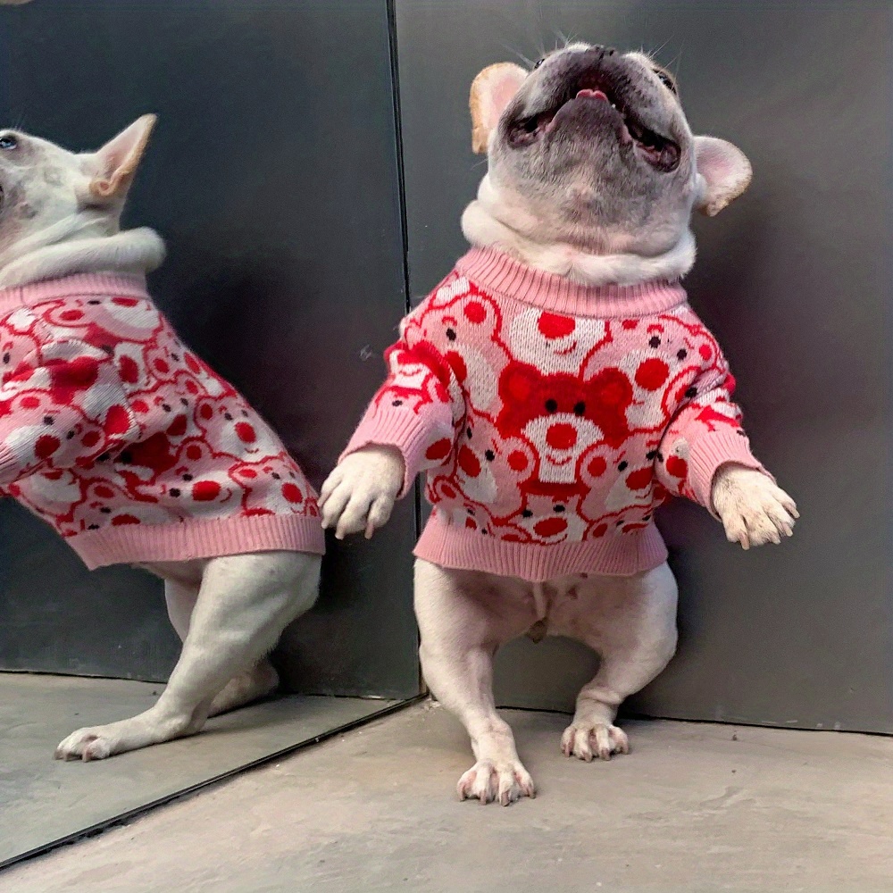 Pet Sweater, Cute Dog Sweater For Small Medium Dogs Winter Pet Clothes