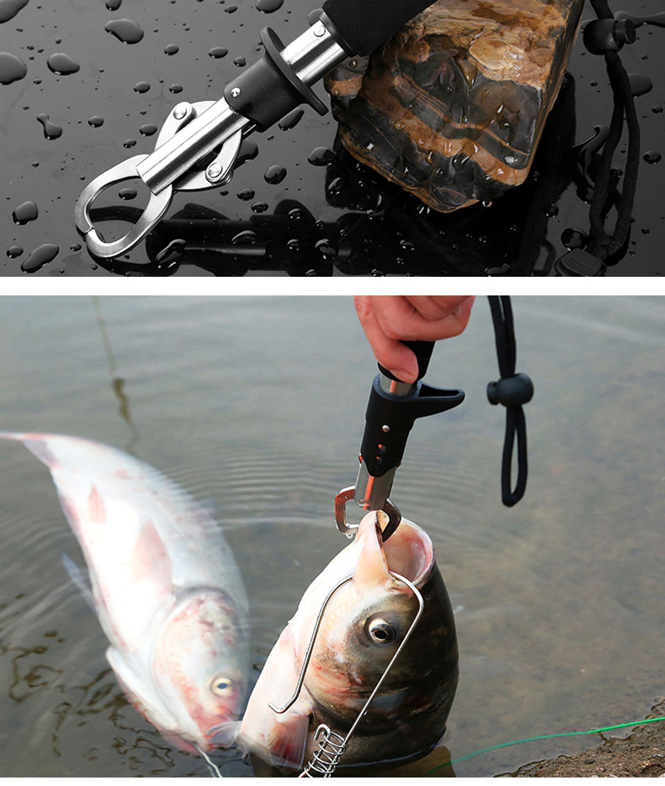 Walk Fish Stainless Steel Fish Lip Gripper Digital Scale - Temu