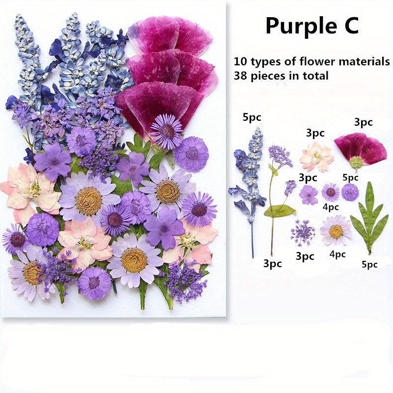  EXCEART 12 Sets Dried Flowers Plant Stuff Craft Decoration DIY  Crafts Supplies DIY Craft Material DIY Flower Accessories Dry Flowers for  Candle Making DIY Valentine's Gift Epoxy Flower Bag
