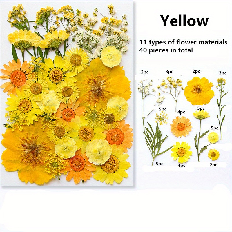120PCS Dried Flowers for Resin, Real Pressed Flowers Dry Real Herbs Dry  Leaves Kit Best Gift for Children, Girl, Boy on DIY Art Crafts, Epoxy  Resin