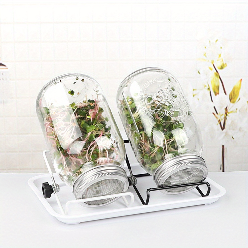1pc Plant Germinated Glass Containers With Stainless Steel Brackets For