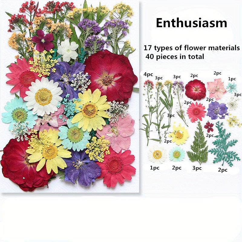  EXCEART 12 Sets Dried Flowers Plant Stuff Craft