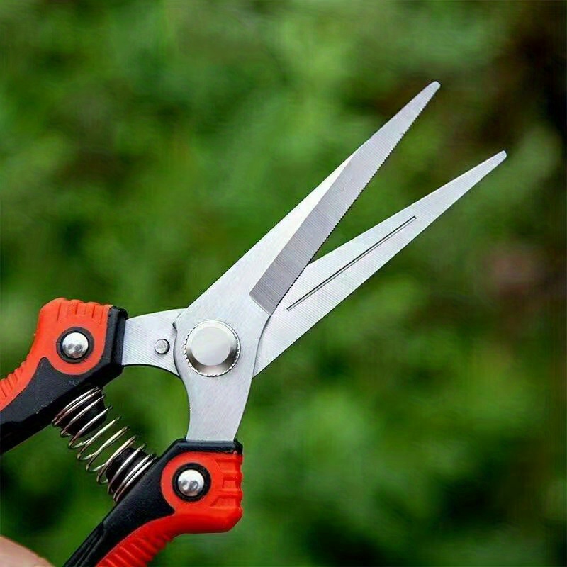 Pp Anti-Slip Grip Handle Pruning Shears Bonsai Scissors for Garden Blue  Pink Color Stainless Steel Flowers Fruit Picking Branch - AliExpress