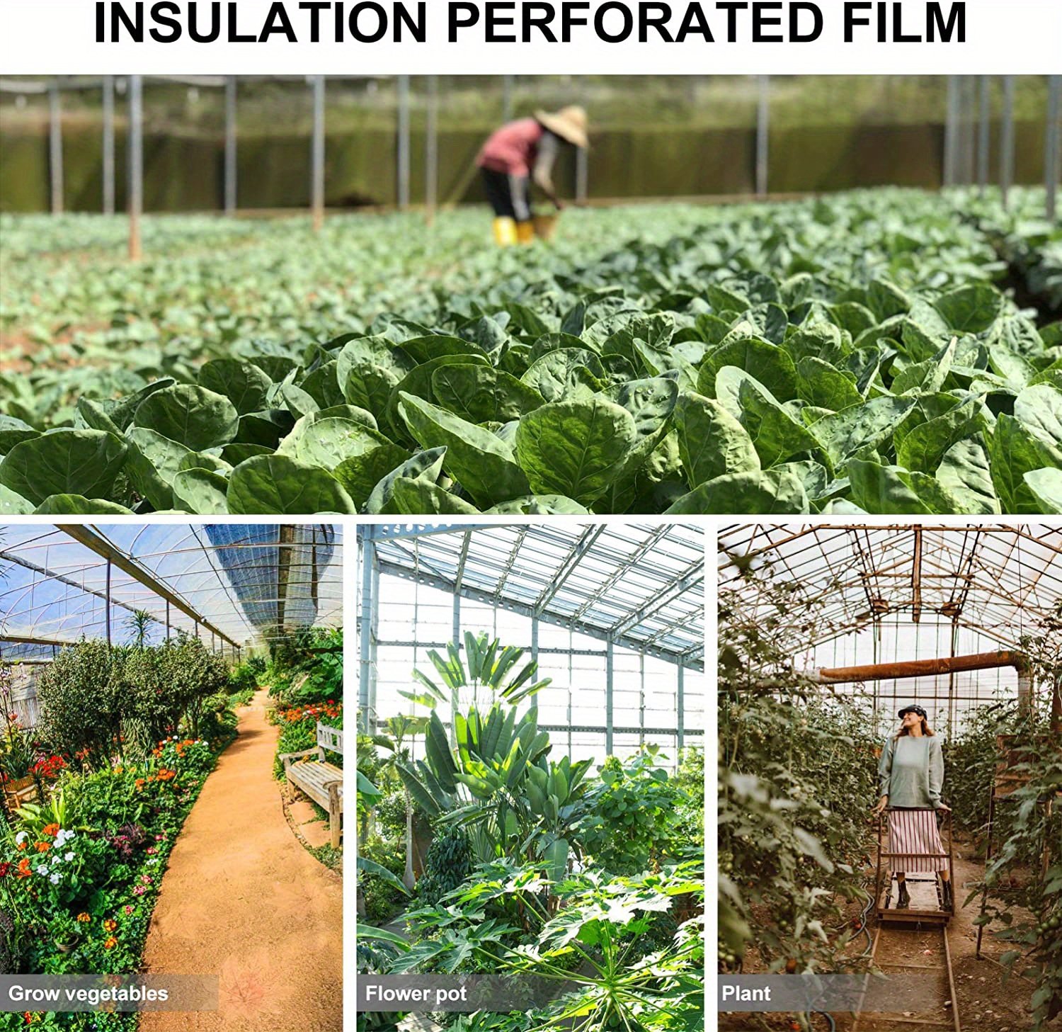  Dimo 5 agujeros de membrana vegetal de jardín negro, plantas  agrícolas, película de plástico de polietileno perforada, 37.4 in de ancho,  0.001 in de grosor (tamaño: 3.1 x 98.4 ft) : Patio, Césped y Jardín