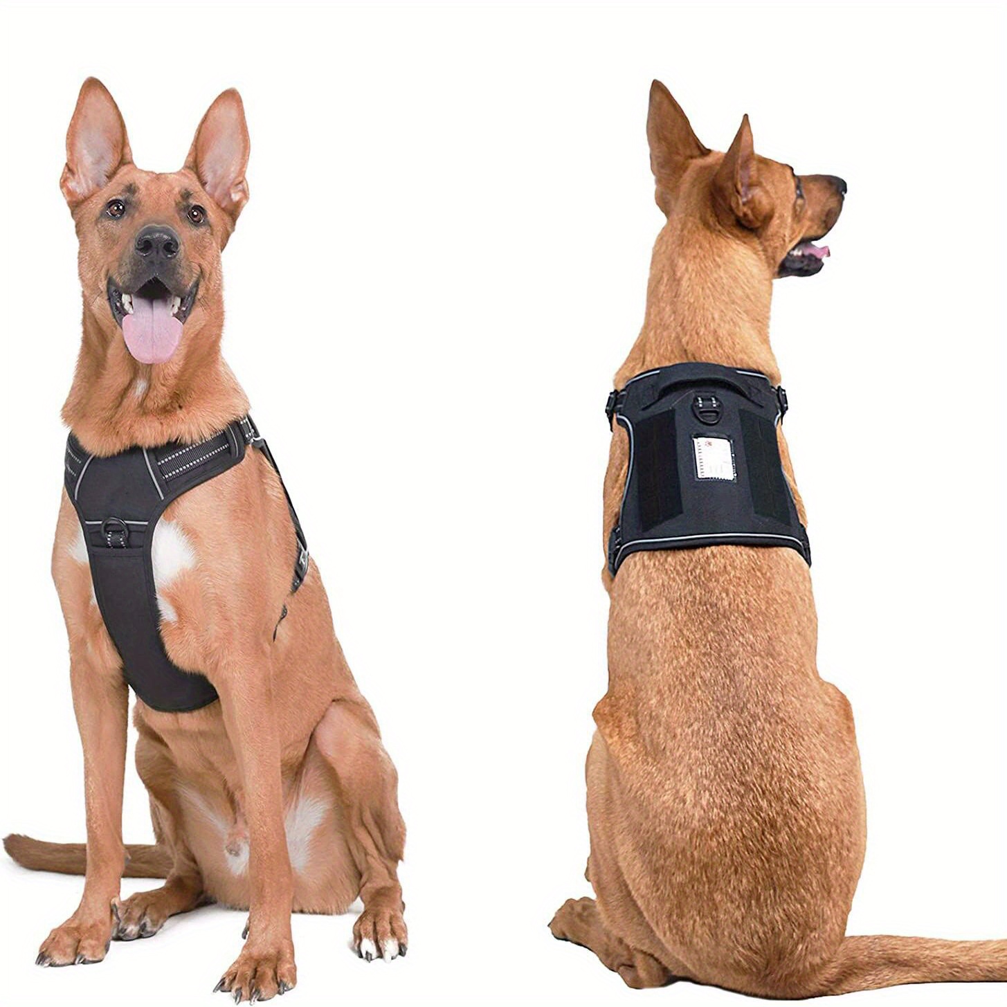 K9 top training harness