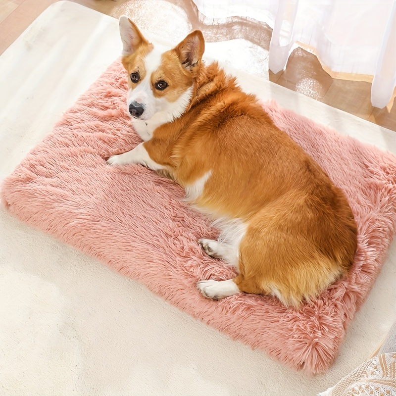 Removable Cover Washable Pet Bed - Comfortable Cat and Dog Mattress with Cushion