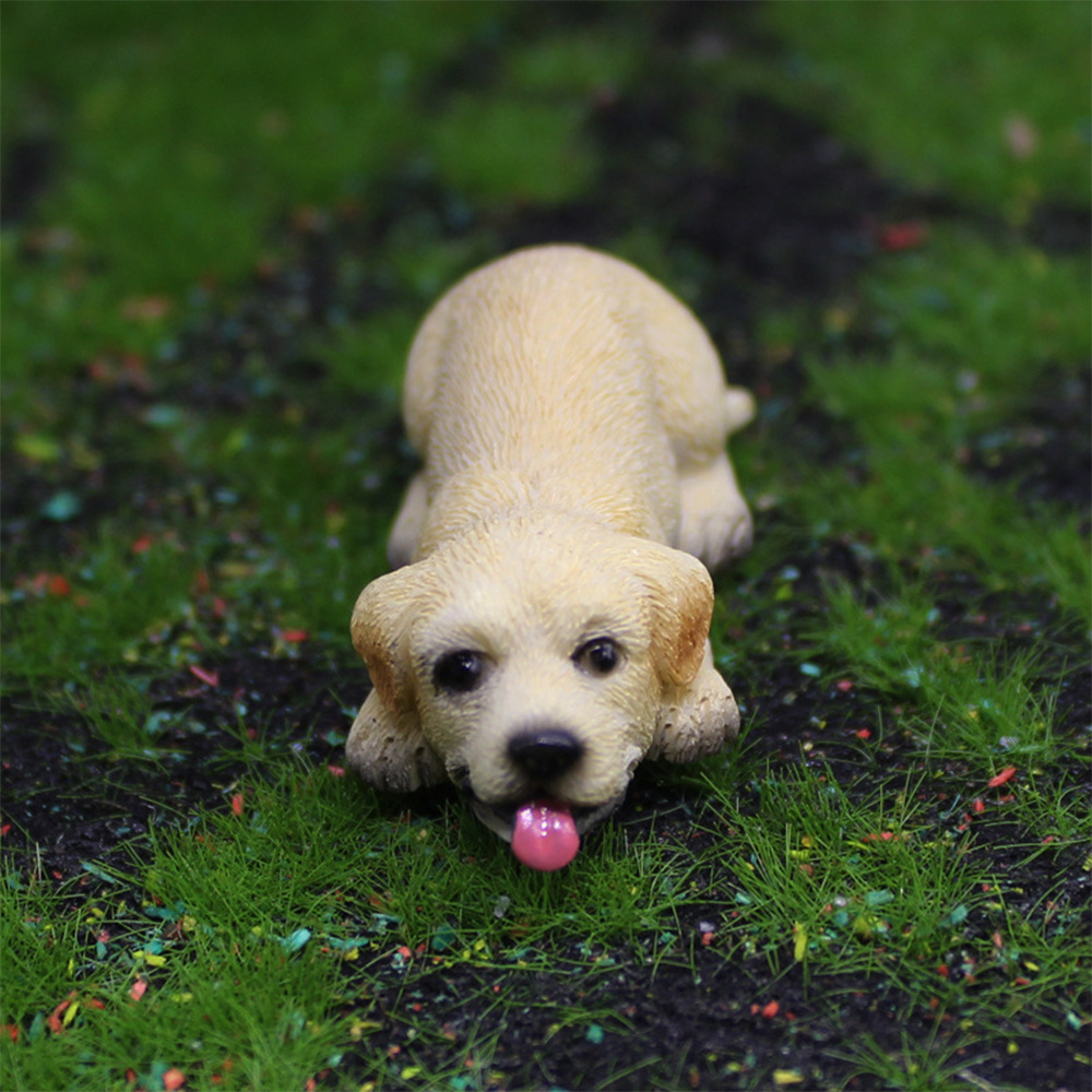 Tiny labrador clearance puppy