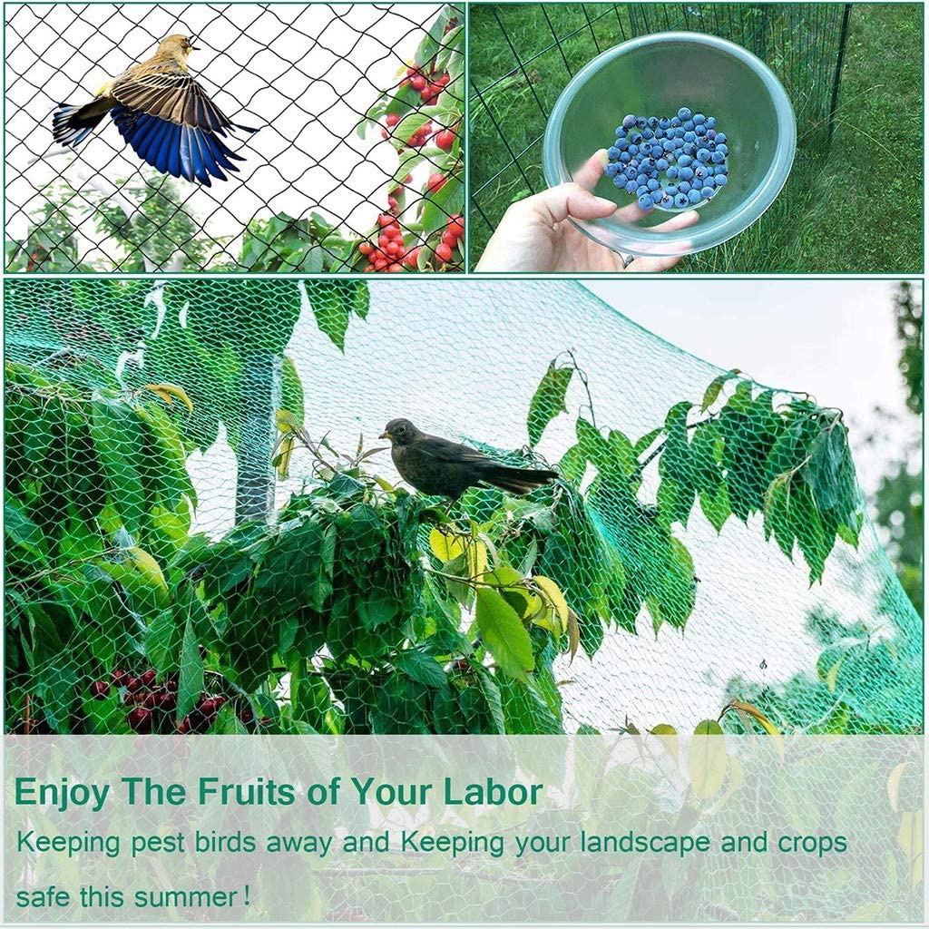 Filet anti-oiseaux de 10 verges pour le jardin Protéger les plantes  potagères et les arbres fruitiers, filet de treillis en plastique pour les  oiseaux