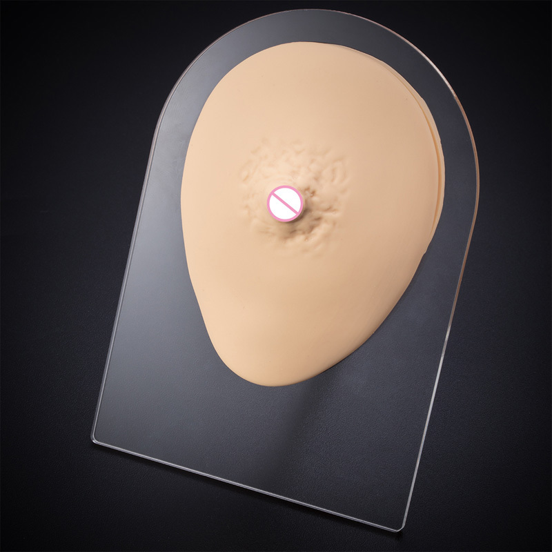Flexible Silicone Model for Practice and Display