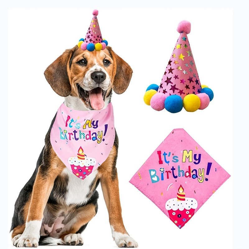 

Celebrate Your Dog's Birthday In Style With This Festive Bandana Hat Scarf!