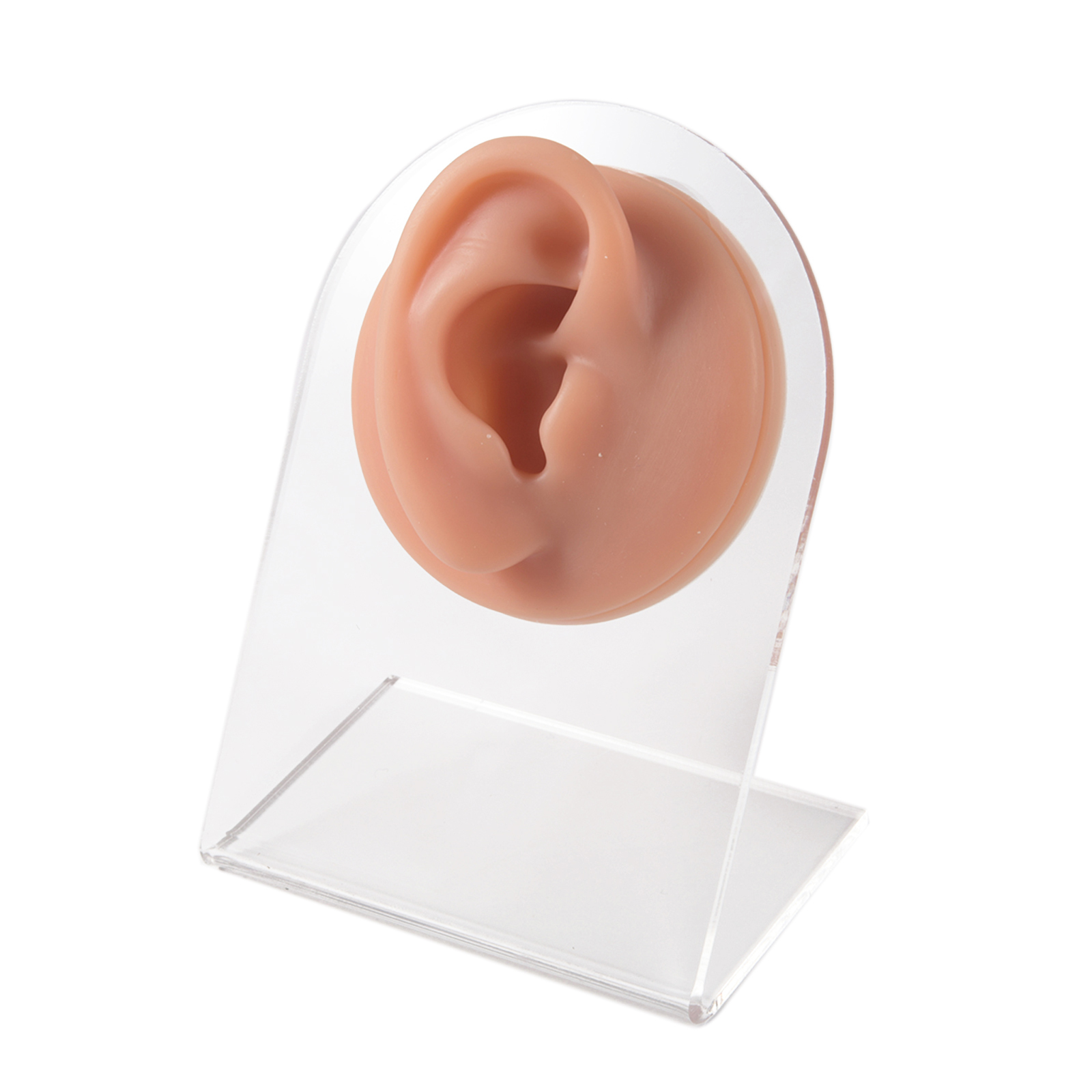 Soft Silicone Body Part Model Human Ear Mouth Eye Tongue - Temu