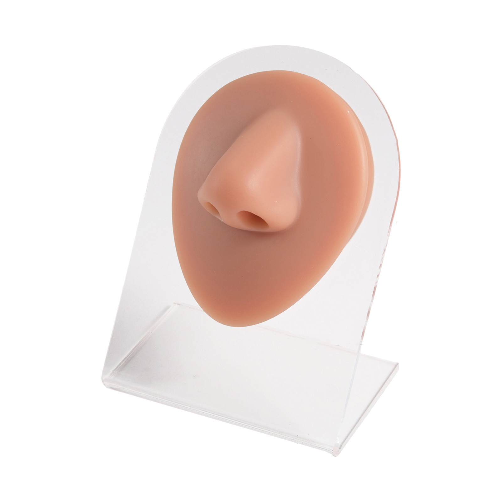 3D Flexible Silicone Human Body Model Displays