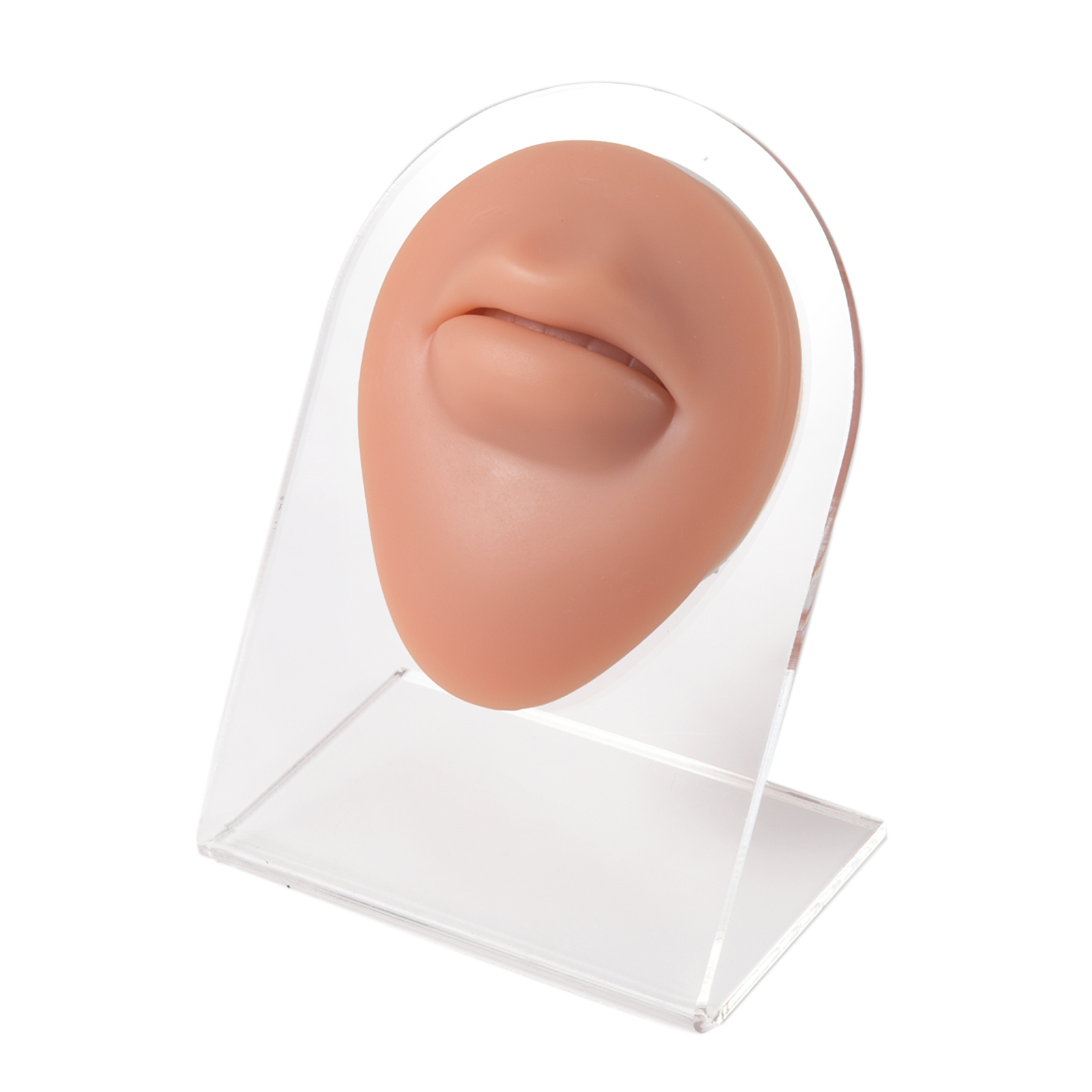 3D Flexible Silicone Human Body Model Displays