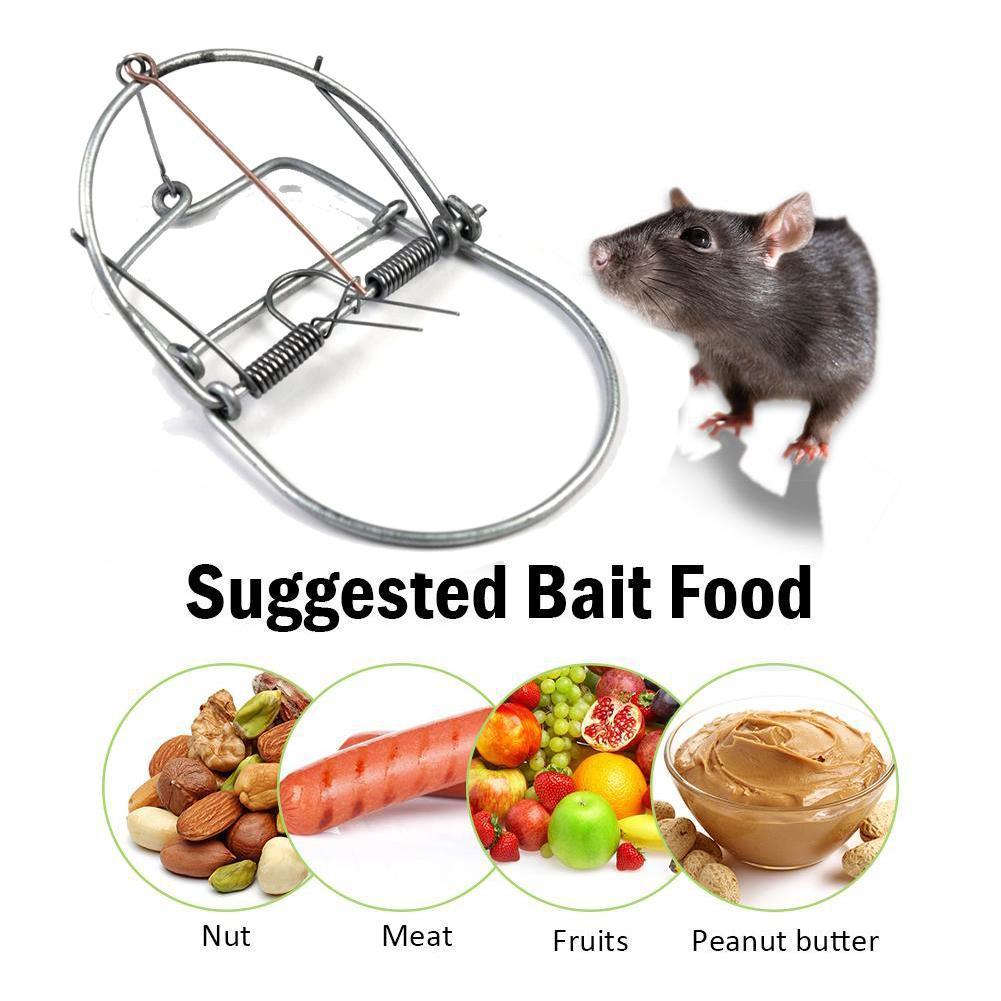 Mice Rodent Rats Catcher Stainless Steel Indoor Outdoor Rat Trap
