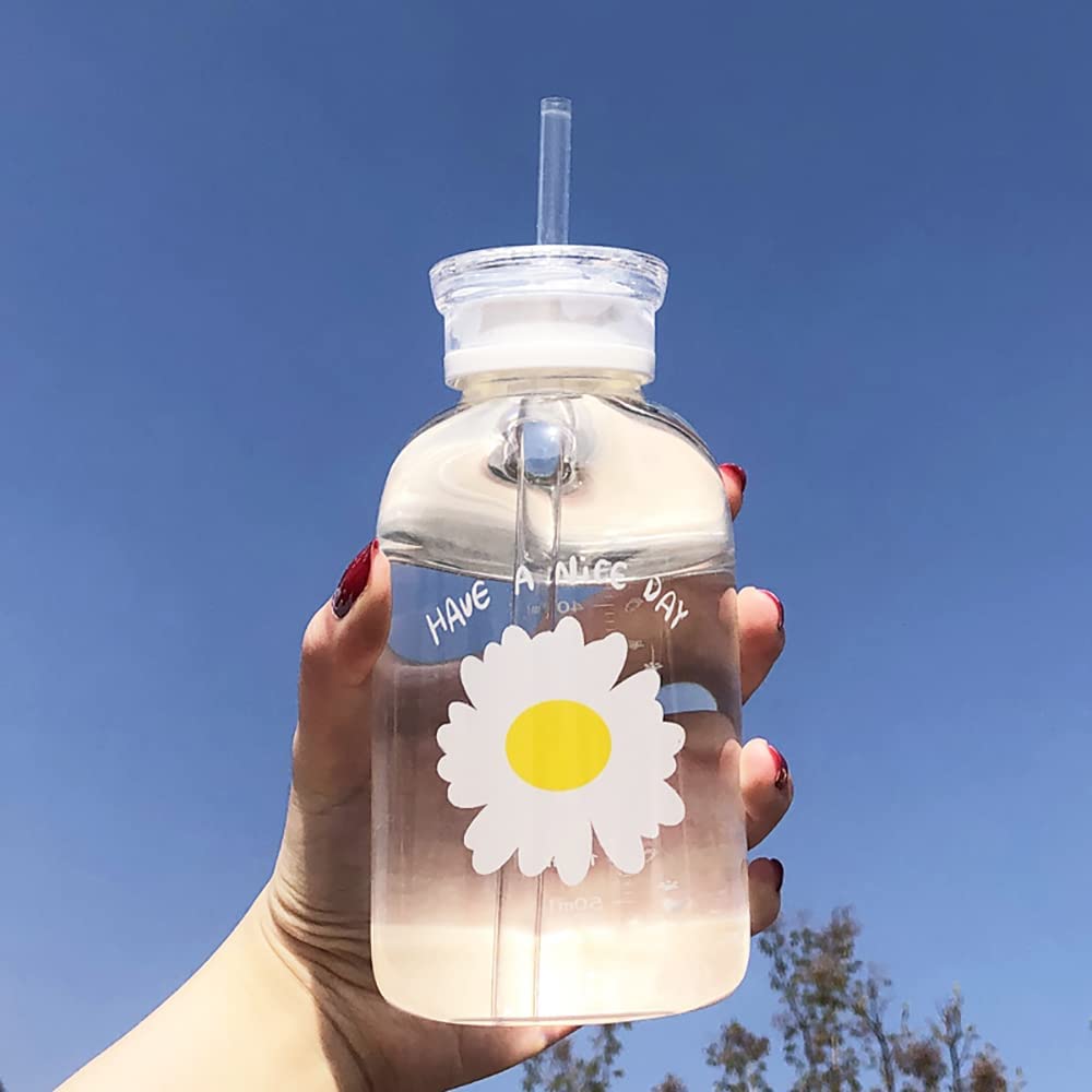 Cute Water Bottles Aesthetic Cute Water Bottles for Women Portable Kawaii  Little Daisy Frosted Glass Water Bottle with Straw Lid