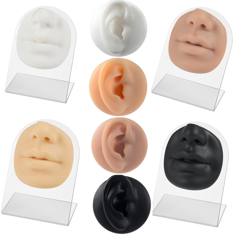 Ensemble De Modèles De Nez En Silicone - ZERODIS - Simulation 3D