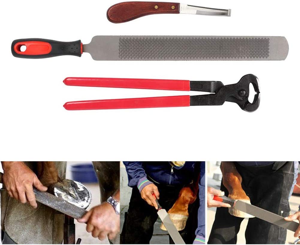 Professional Horse Farrier Hoof Trimming Tool Kit Perfect Temu