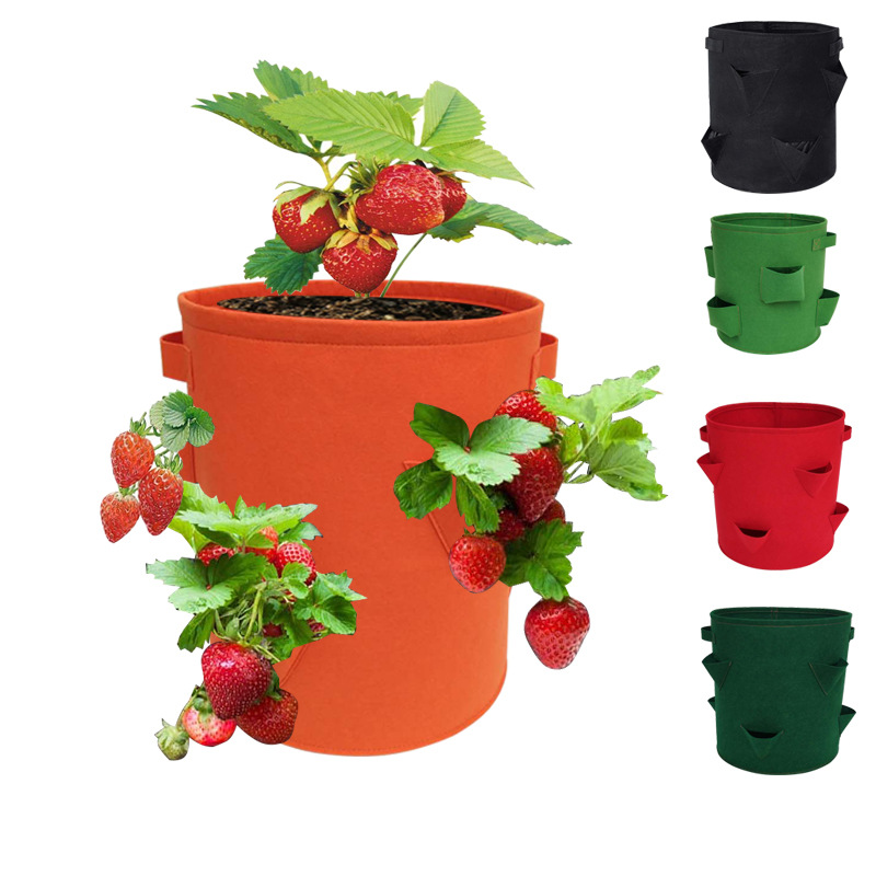 Grow Your Own Fruits And Veggies With Nonwoven - Temu