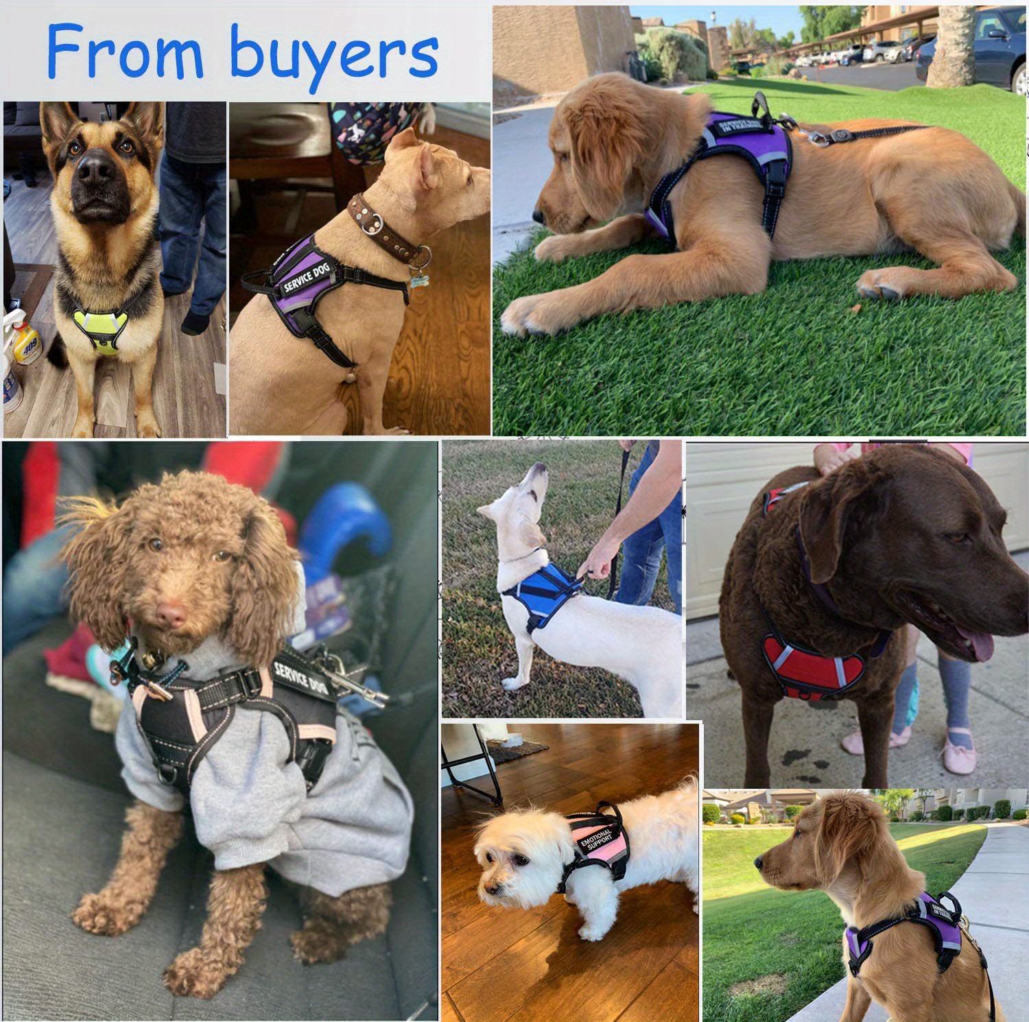 Comfortable No pull Dog Harness Handle Service Outdoor Temu