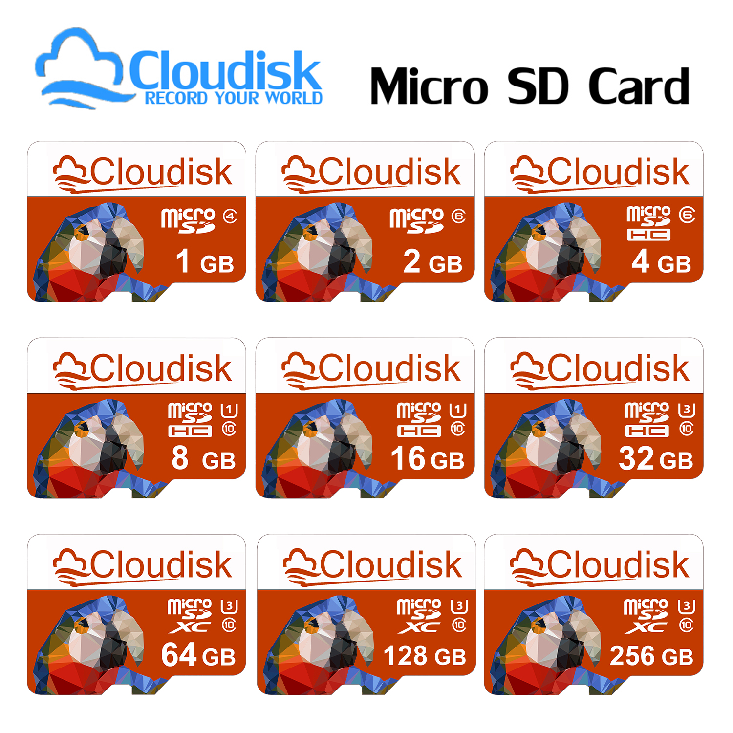 Carte Micro SD Cloudisk 1 Go 2 Go 4 Go 8 Go 16 Go 32 Go 64 - Temu Canada