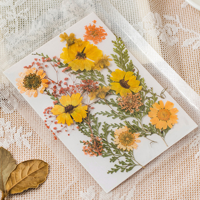 Real Dried Pressed Flowers for Resin With Tweezers – aroorservices