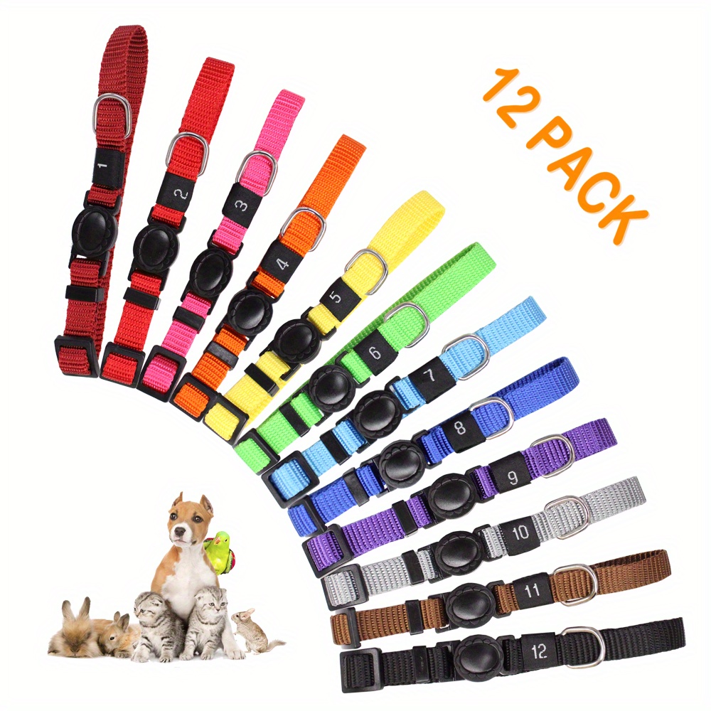 Pack of 2024 puppy collars