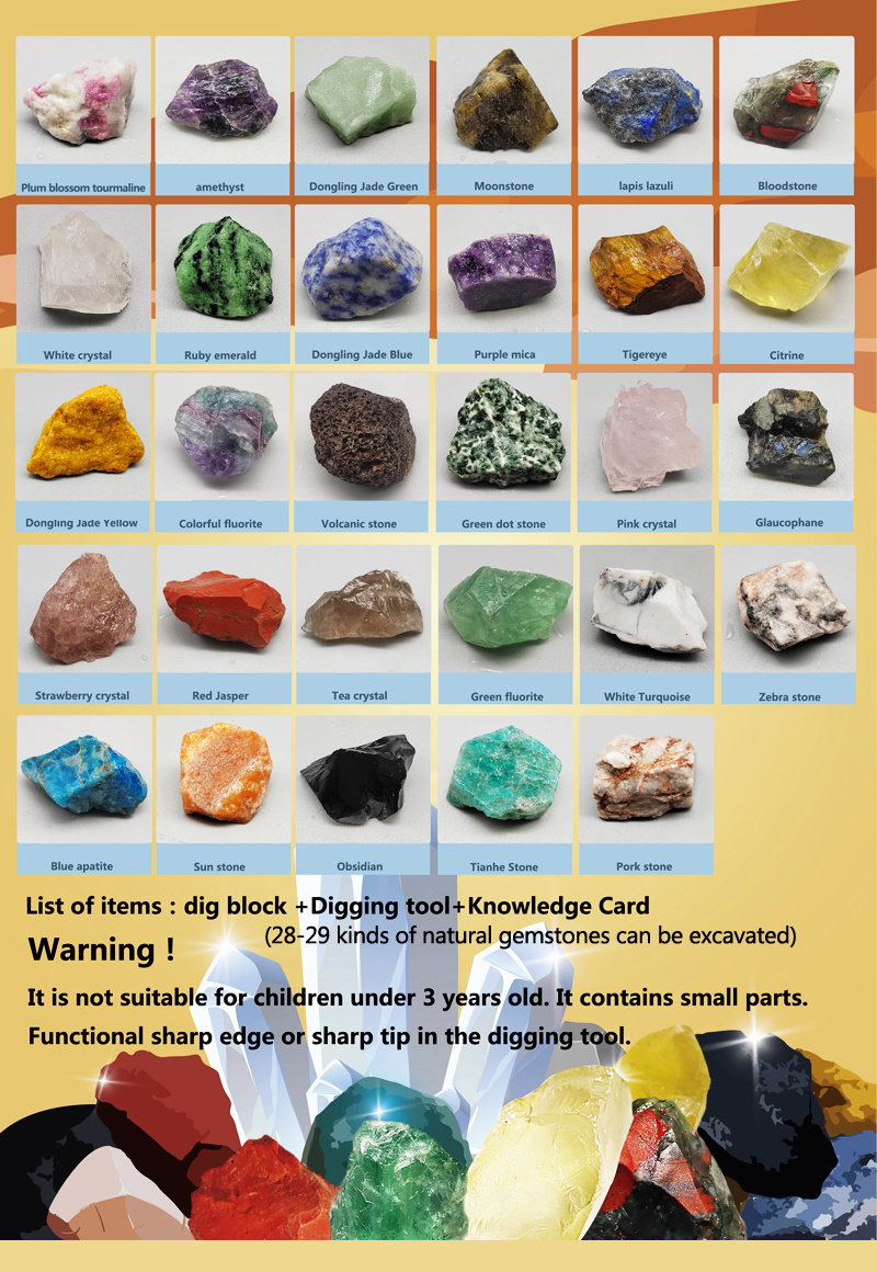 XXTOYS - Kit Pierres et Minéraux de Collection- 250 Geodes et Fossiles  Naturelle-Livré avec Vitrine et Sac de Rangement-6 7 8 9 10 Ans